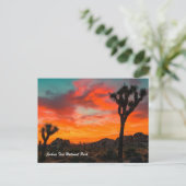 Carte Postale Le Parc national de Joshua Tree (Debout devant)