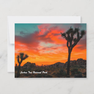 Carte Postale Le Parc national de Joshua Tree