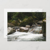 Carte Postale Le Parc national de Manu (Devant / Derrière)