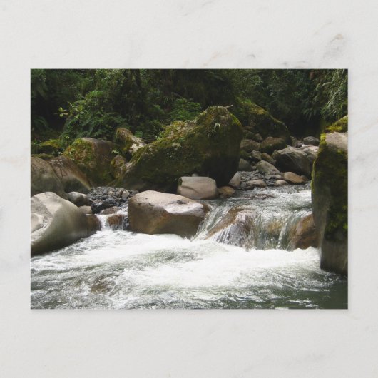 Carte Postale Le Parc national de Manu (Devant)