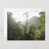 Carte Postale Le Parc national de Manu (Devant / Derrière)