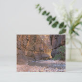 Carte Postale Le Parc national de Narrows Zion (Debout devant)