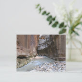 Carte Postale Le Parc national de Narrows Zion (Debout devant)