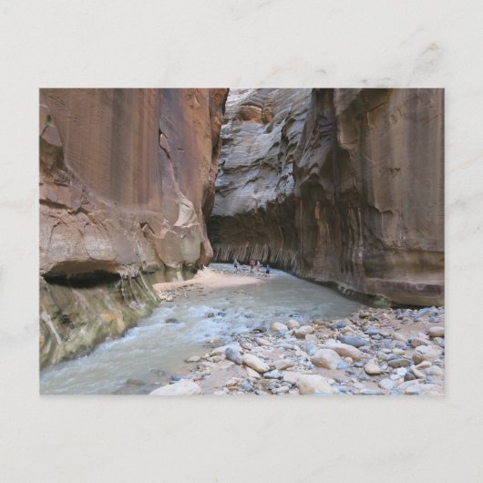 Carte Postale Le Parc national de Narrows Zion (Devant)