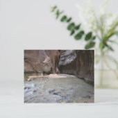 Carte Postale Le Parc national de Narrows Zion (Debout devant)
