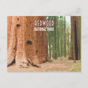 Carte Postale Le parc national de Redwood Californie