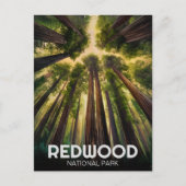 Carte Postale Le parc national de Redwood, Californie côtière (Devant)