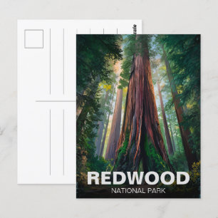 Carte Postale Le parc national de Redwood, Californie côtière
