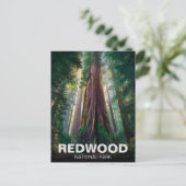 Carte Postale Le parc national de Redwood, Californie côtière (Debout devant)