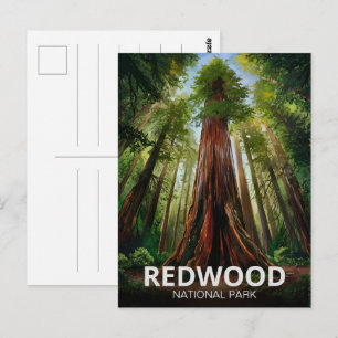 Carte Postale Le parc national de Redwood, Californie côtière
