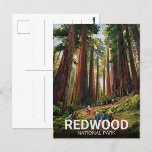 Carte Postale Le parc national de Redwood, Californie côtière