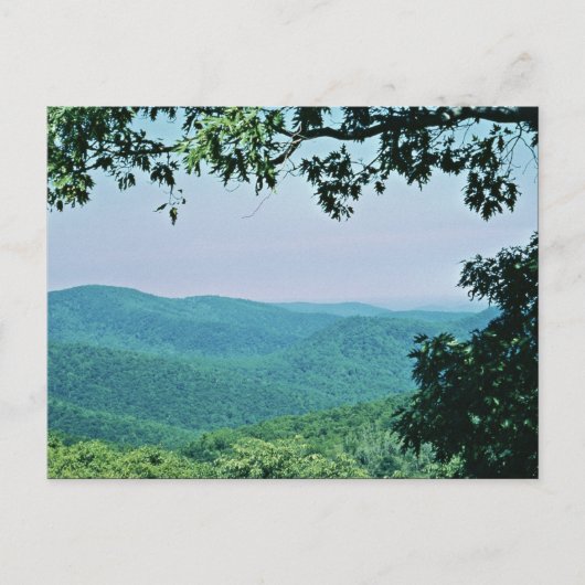 Carte Postale Le Parc national de Shenandoah (Devant)