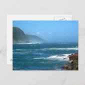 Carte Postale Le Parc national de Tsitsikamma (Devant / Derrière)