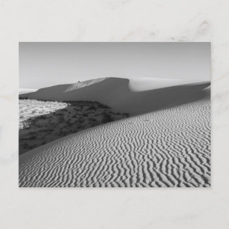 Carte Postale Le parc national de White Sands