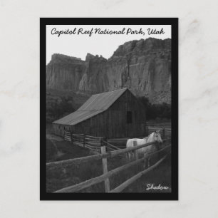 Carte Postale Le Parc national du Capitol Reef