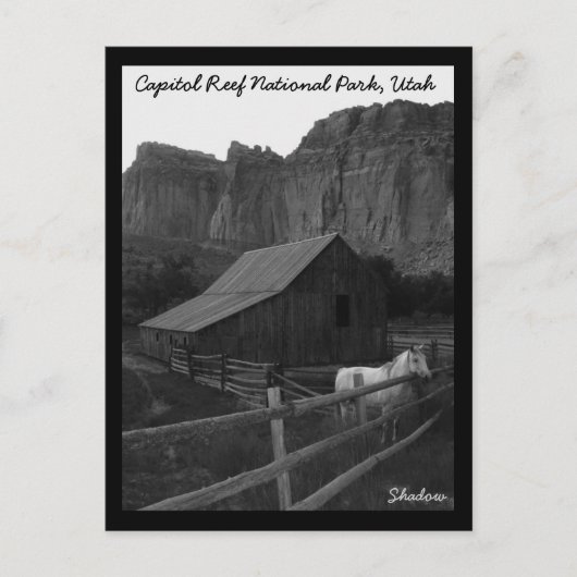Carte Postale Le Parc national du Capitol Reef (Devant)