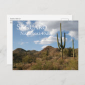 Carte Postale Le Parc national du Saguaro (Devant / Derrière)