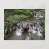 Carte Postale Le parc Setagaya (Devant)