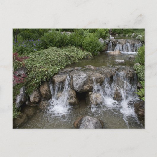 Carte Postale Le parc Setagaya (Devant)