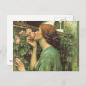 Carte Postale Le parfum du Rose (Devant / Derrière)