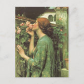 Carte Postale Le parfum du Rose (Devant)