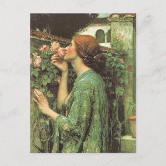 Carte Postale Le parfum du Rose (Devant)