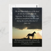 Carte Postale Le passage de la Bible, un charmant cheval au couc (Devant / Derrière)