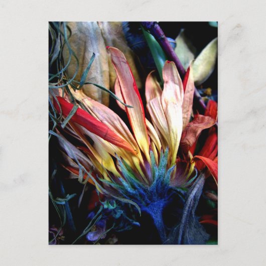 Carte Postale le passage des fleurs (Devant)