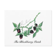 Le patch Blackberry...Carte postale