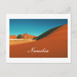 Carte Postale Le paysage des dunes de sable de Namibie Sossusvle