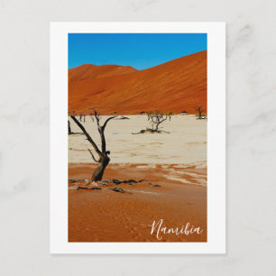 Carte Postale Le paysage des dunes de sable de Namibie Sossusvle