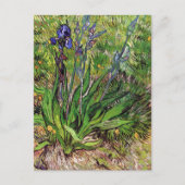 Carte Postale Le paysage d'Iris Vincent van Gogh (Devant)