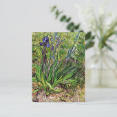 Carte Postale Le paysage d'Iris Vincent van Gogh (Debout devant)