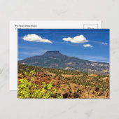 Carte Postale Le pédoncule (Devant / Derrière)