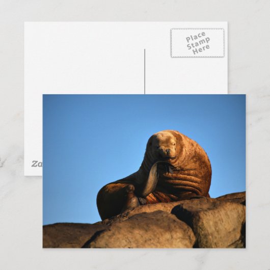 Carte Postale Le penseur (Devant / Derrière)
