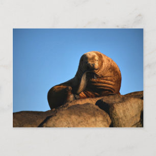 Carte Postale Le penseur