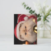 Carte Postale Le Père Noël Grumpy Cat (Debout devant)