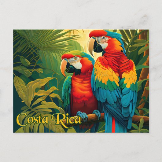 Carte Postale Le Perroquet du Costa Rica (Devant)
