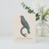 Carte Postale Le Perroquet Langlois (Debout devant)