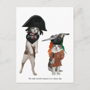 Carte Postale Le Petit Chat qui veut être une Star de cinéma