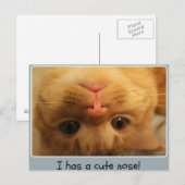 Carte Postale Le petit nez de Skippy (Devant / Derrière)