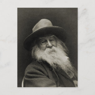 Carte Postale Le philosophe riant poète Walt Whitman