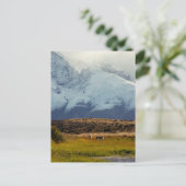 Carte Postale Le pic du Guanacos (Debout devant)