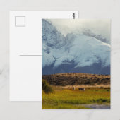 Carte Postale Le pic du Guanacos (Devant / Derrière)