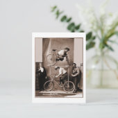 Carte Postale Le piédestal fou original de Mae Gordon (Debout devant)