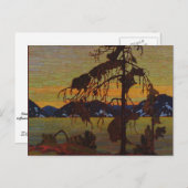 Carte Postale Le pin gris (Devant / Derrière)