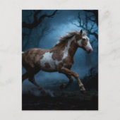 Carte Postale Le Pinto Mustang dans la forêt hantée (Devant)