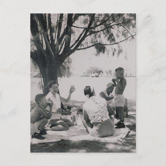 CARTE POSTALE LE PIQUE-NIQUE #25 (Devant)