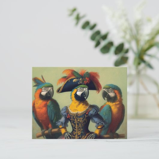 Carte Postale Le pirate des perroquets (Debout devant)