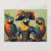 Carte Postale Le pirate des perroquets (Devant)